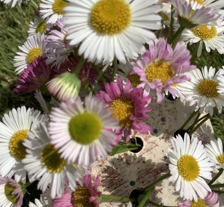 Fresh daisies in yellow and pinks in the top of a flower brick by Sarah Monk Ceramics