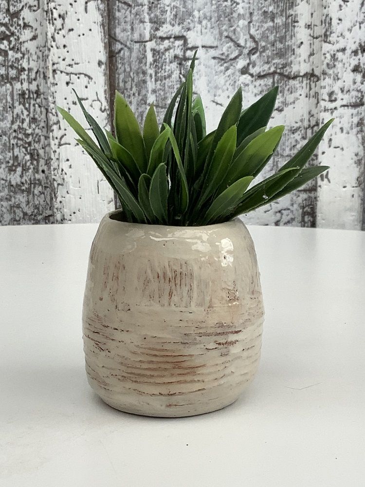 small pot painted white with plant inside