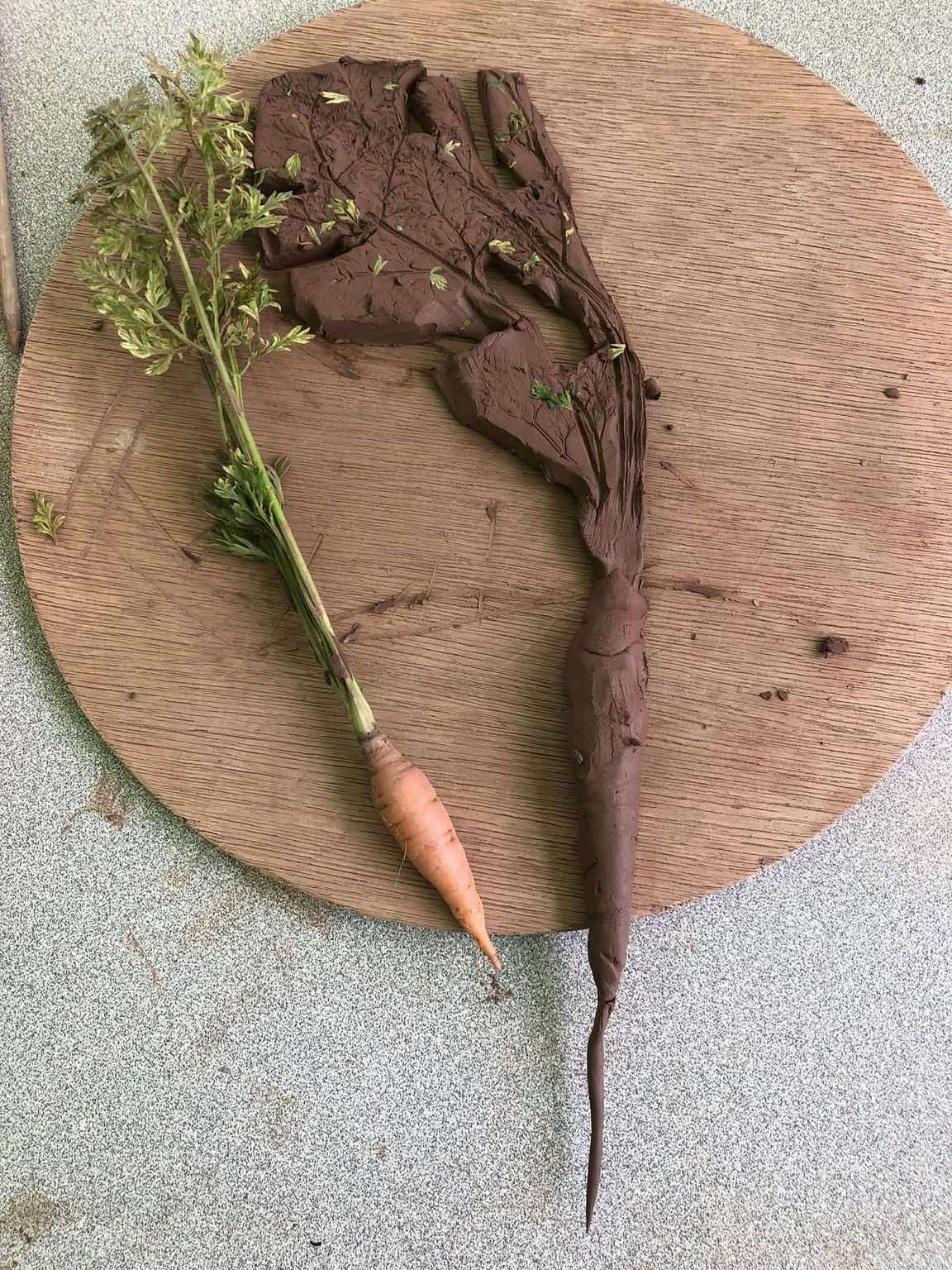 baby carrot and leaves next to a replica clay carrot made out of dark brown clay. The carrot leaves have been pressed into a clay slab to create a texture of carrot leaves. Displayed on a circular wooden board