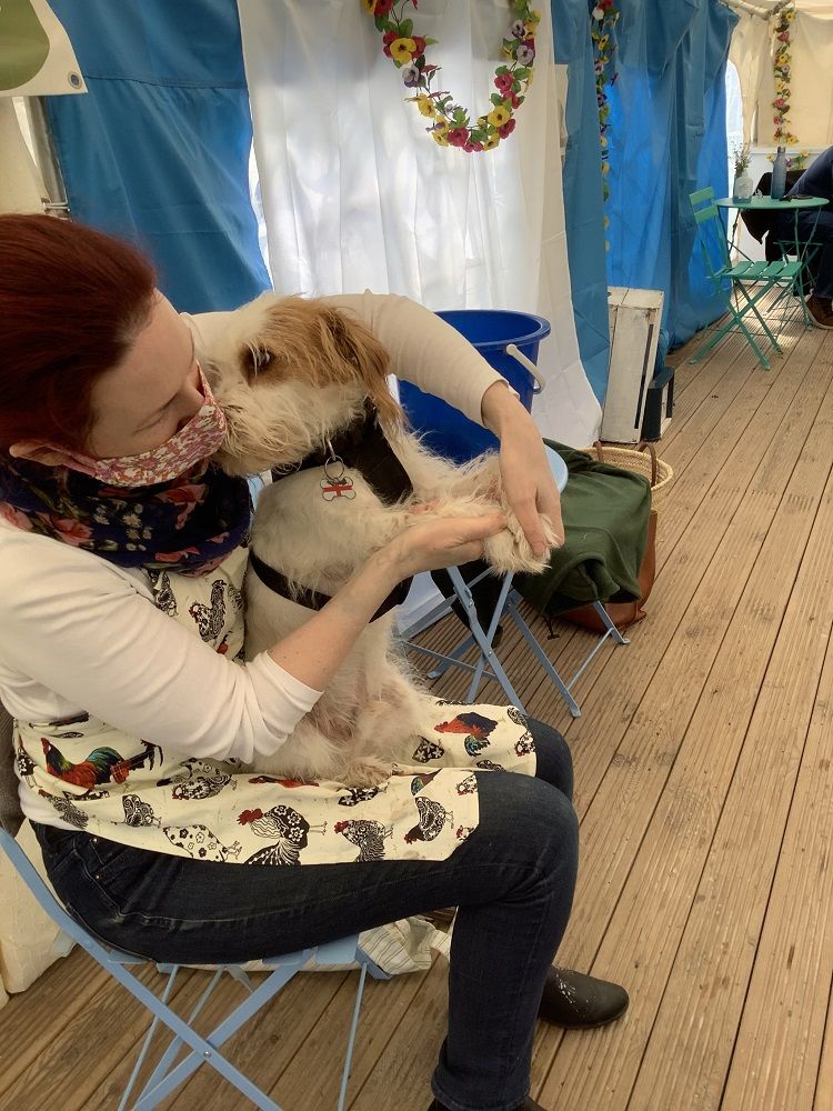 ted the potting dog learning throwing skills at pottery