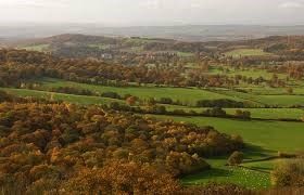 eastnor deer park in the autumn